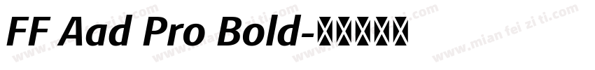 FF Aad Pro Bold字体转换